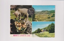 MONTE LIVATA - Funghi -