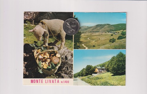 Monte livata funghi - livata,