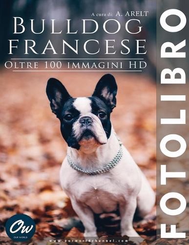 Bulldog francese fotolibro - bulldog,