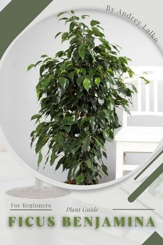 Ficus benjamina plant guide - benjamina:,