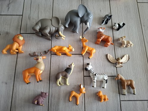Animali vari - animali,