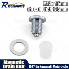 Low Profile Magnetic Drain