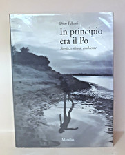 In principio era il Po - Dino Felisati