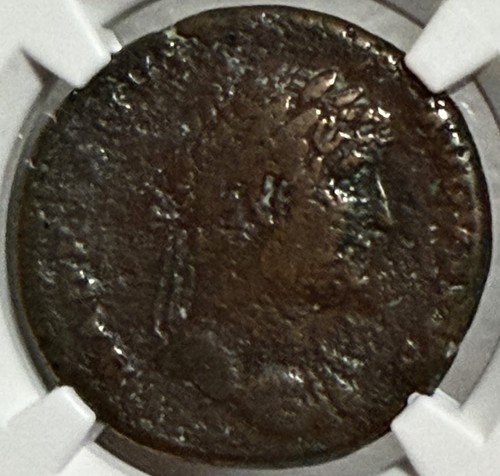 Adriano come 117 138 - adriano, ae