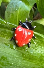 Adorabile spilla vintage