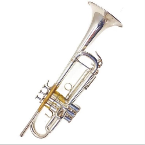 Tromba yamaha ytr 800gs - tromba,