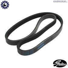 Cinghia vibrante 6pk1310 - vibrante,
