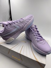 Nike LeBron James XXI 21