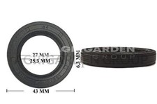 Paraolio Briggs&Stratton