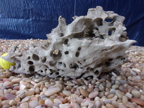 Texas holey rock - 07#,