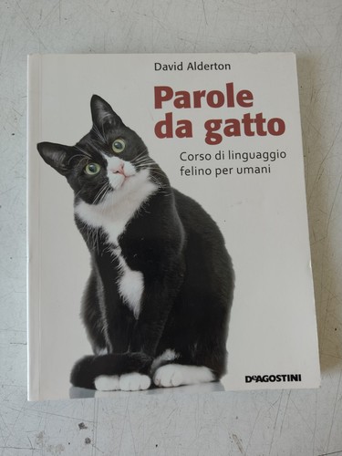 Parole gatto corso di - parole, gatto.corso