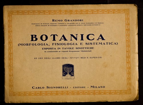 Botanica morfologia - botanica, (morfologia