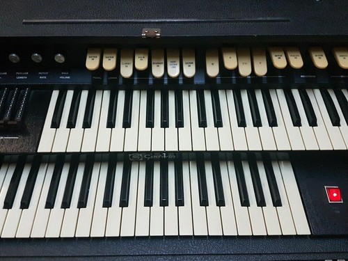 Organo trasportabile godwin - trasportabile,