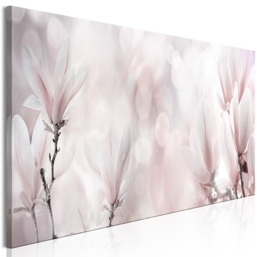Magnolie fiori rosa - magnolie,