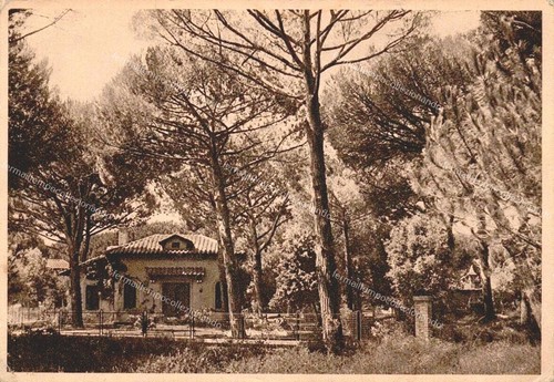 Ed454 cartolina - ed454,