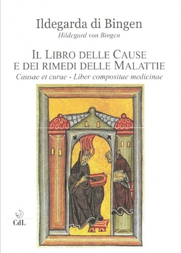 Libro delle cause dei - il,