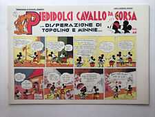 Piedidolci cavallo da