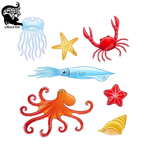 Ocean life meduse - life,