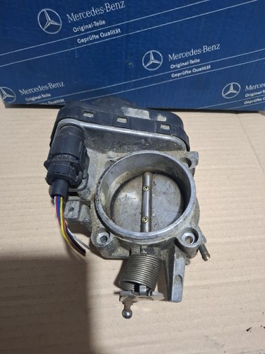 Corpo farfalla 0001419825 - farfalla,