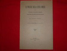 La polvere della canna comune