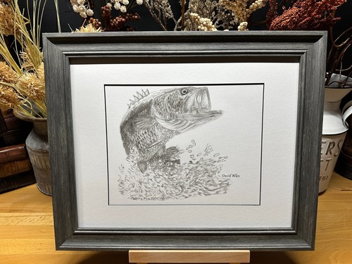 Disegno pesce basso - di,