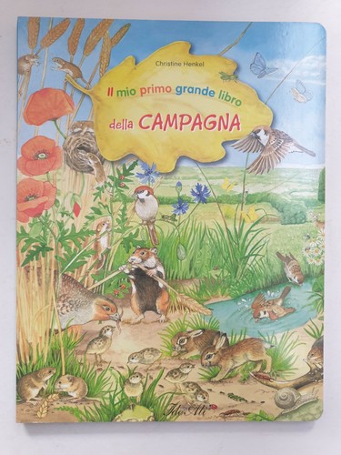 Mio primo grande - grande, libro