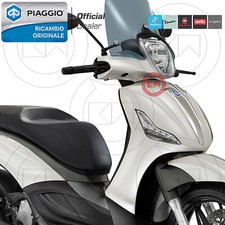 Scudo anteriore verniciato - anteriore,