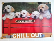 POSTER PLASTIFICATO CHILL OUT RADIO FLYER CANI LABRADOR TOWN MISURE 59 x 42 CM