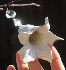 1 Prisma Porcellana Giglio