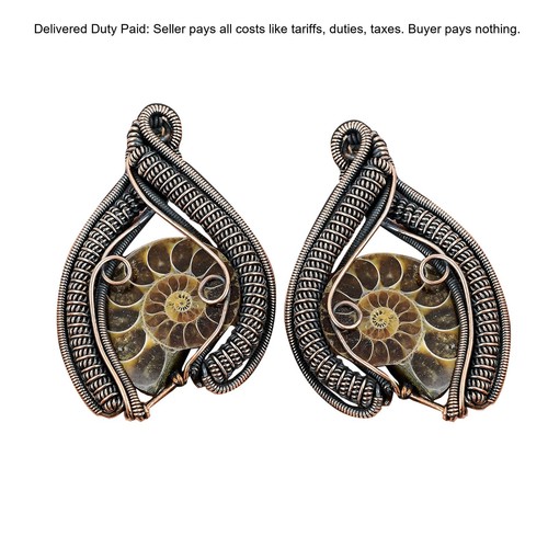 Ammonite fossil gemstone - fossil,