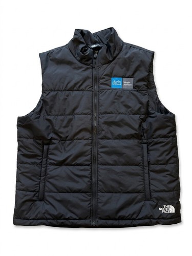 The north face gilet uomo - north,