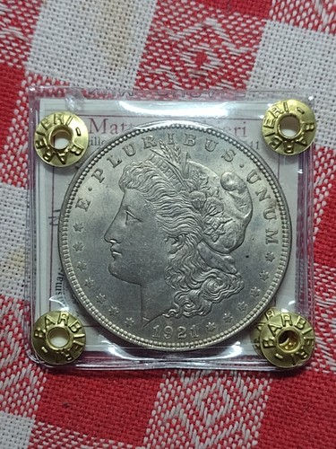 Dollaro morgan 1921 qfdc - morgan,