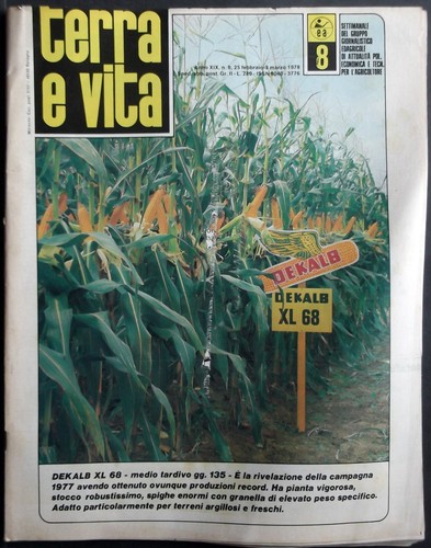 Terra vita 1978 - n.8,