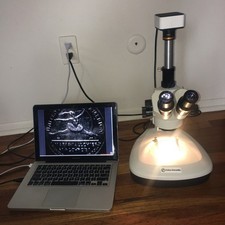Fisher Sci. Stereozoom