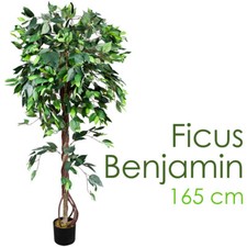 Ficus benjamin pianta finta - pianta,