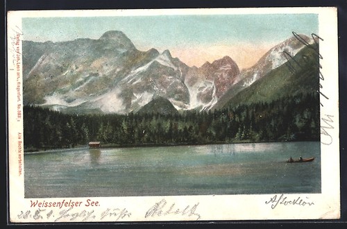 Cartolina tarvisio - cartolina,