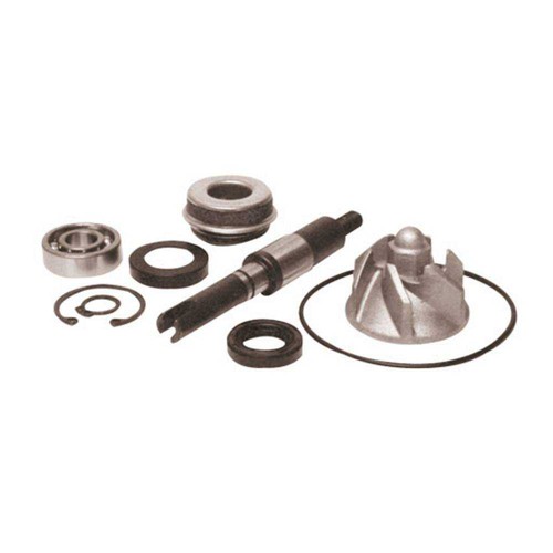 Kit revisione pompa acqua - kit,
