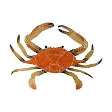 Granchio 16" marrone piscina