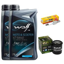 Inspektion Ölfilter Set Öl