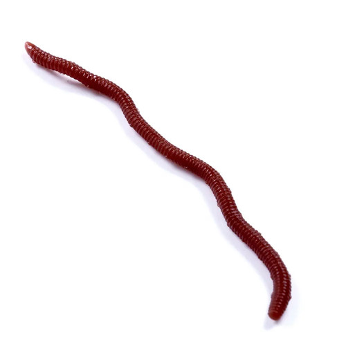 Lombrichi artificiali pesca - artificiali,