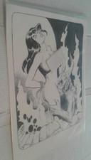 LEONE FROLLO -tavola