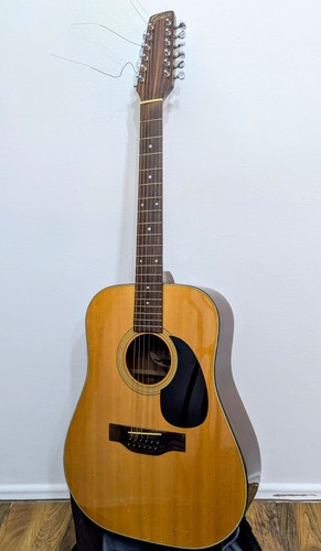 Chitarra western fenix - fenix, 12