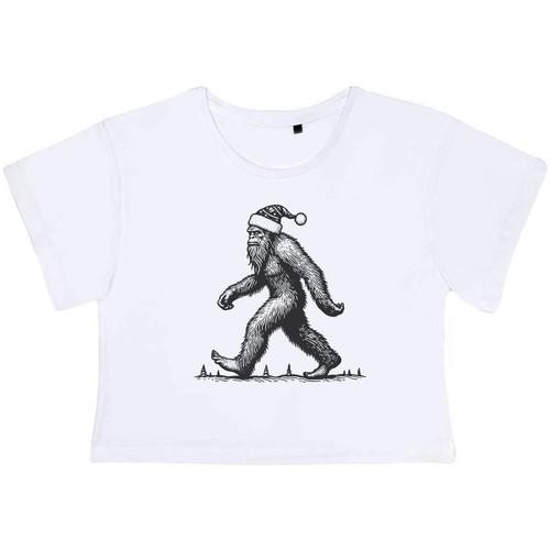 Bigfoot wearing babbo natale - 'bigfoot,