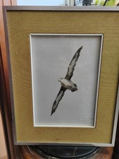 Acquarello ALDO RISO W La Libertà 