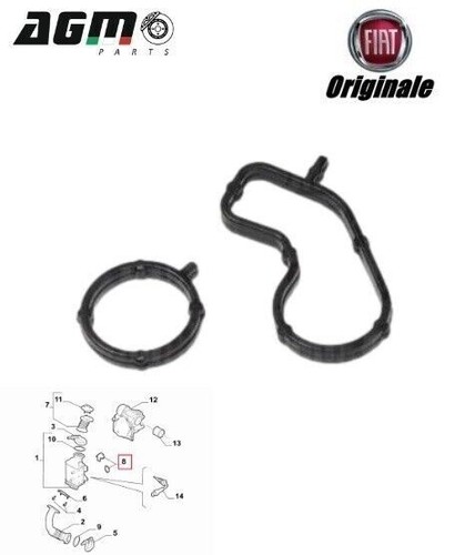 Guarnizioni valvola egr - guarnizioni,