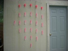 19 Splash di calamari rosa e