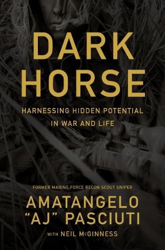 Darkhorse amatangelo aj - darkhorse,
