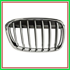 Griglia Radiatore