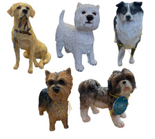 Ornamenti per Cani Collezione