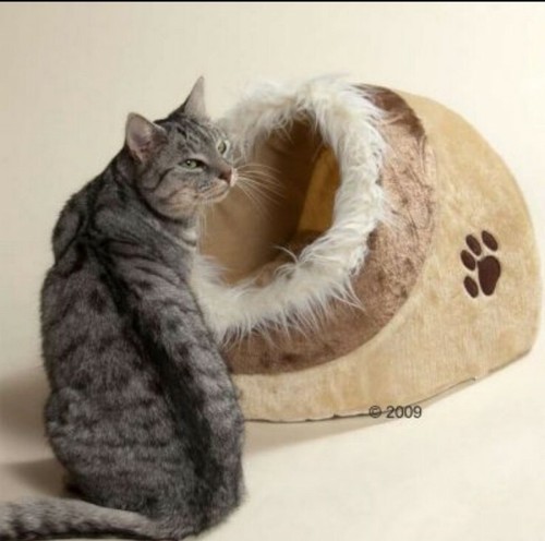 Cuccia trixie cani gatti - trixie, e